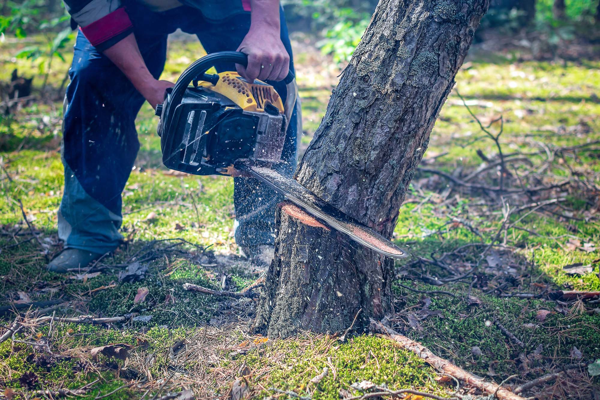 Treework